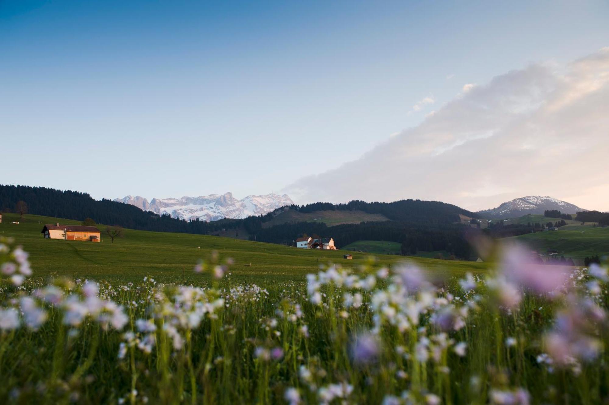 Hotel Landgasthof Eischen Appenzell Kültér fotó